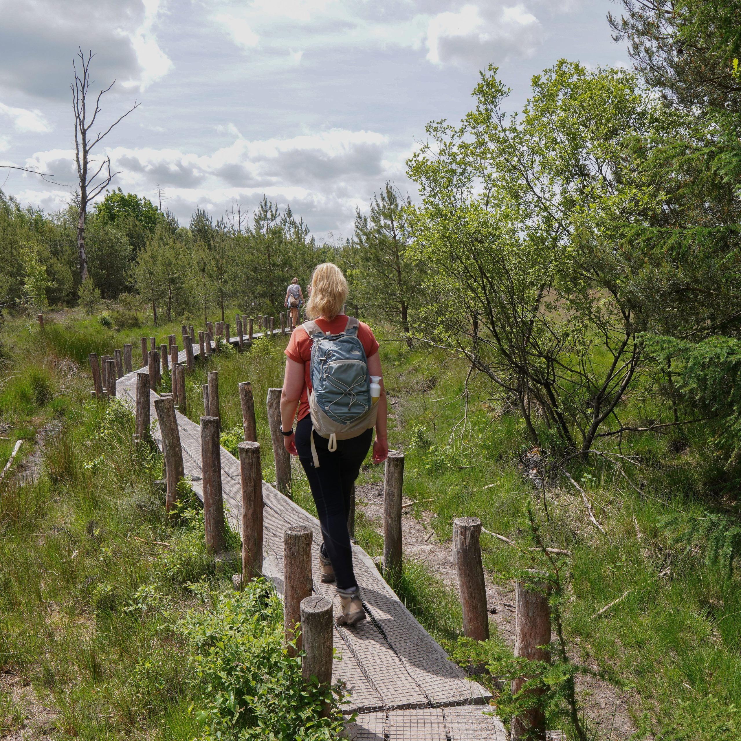Wandel over vlonderpaden op de wandelroute Boswandeling Spier in Nationaal Park Dwingelderveld