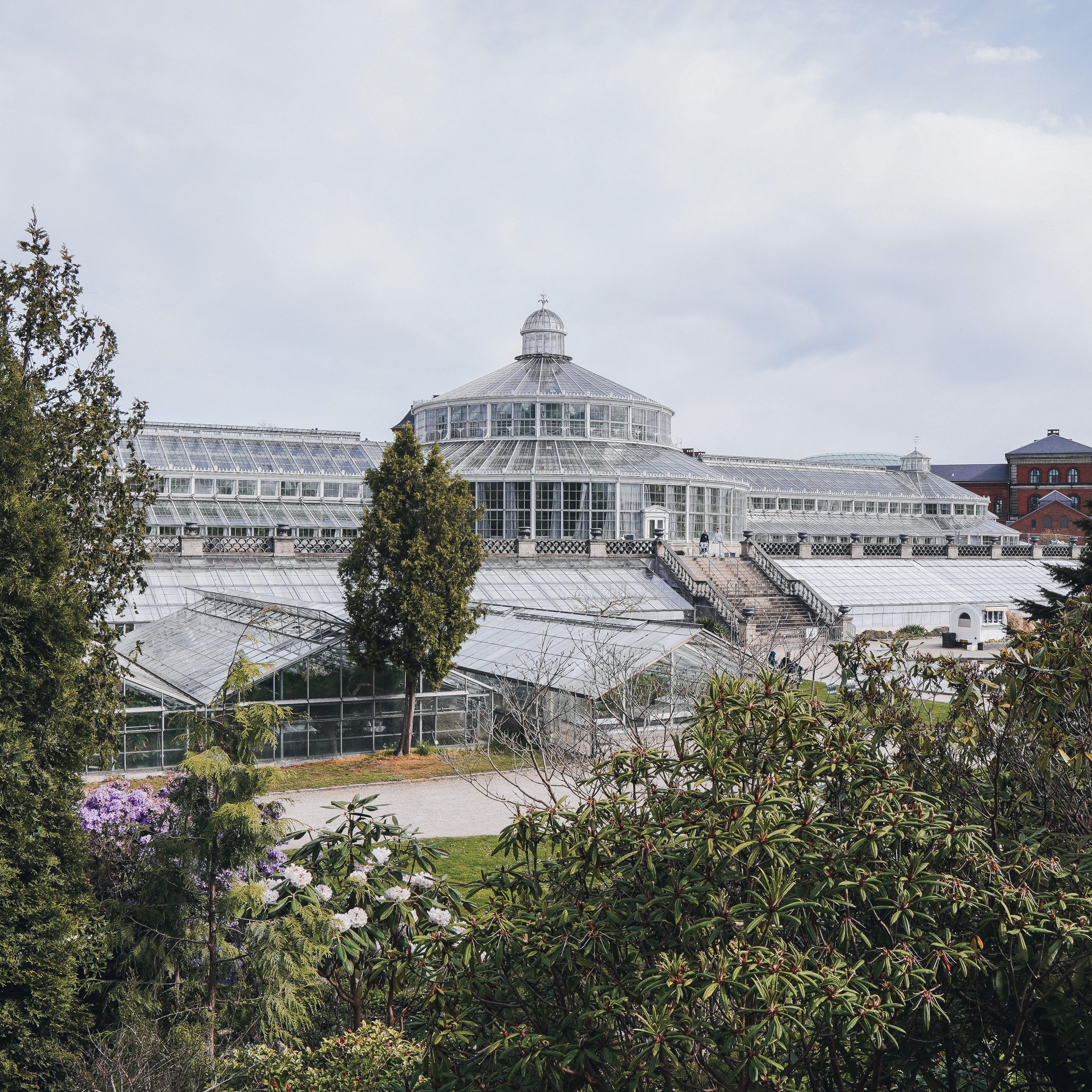 Wandel door het 19e-eeuwse palmenhuis van de Botanisk Have in Kopenhagen