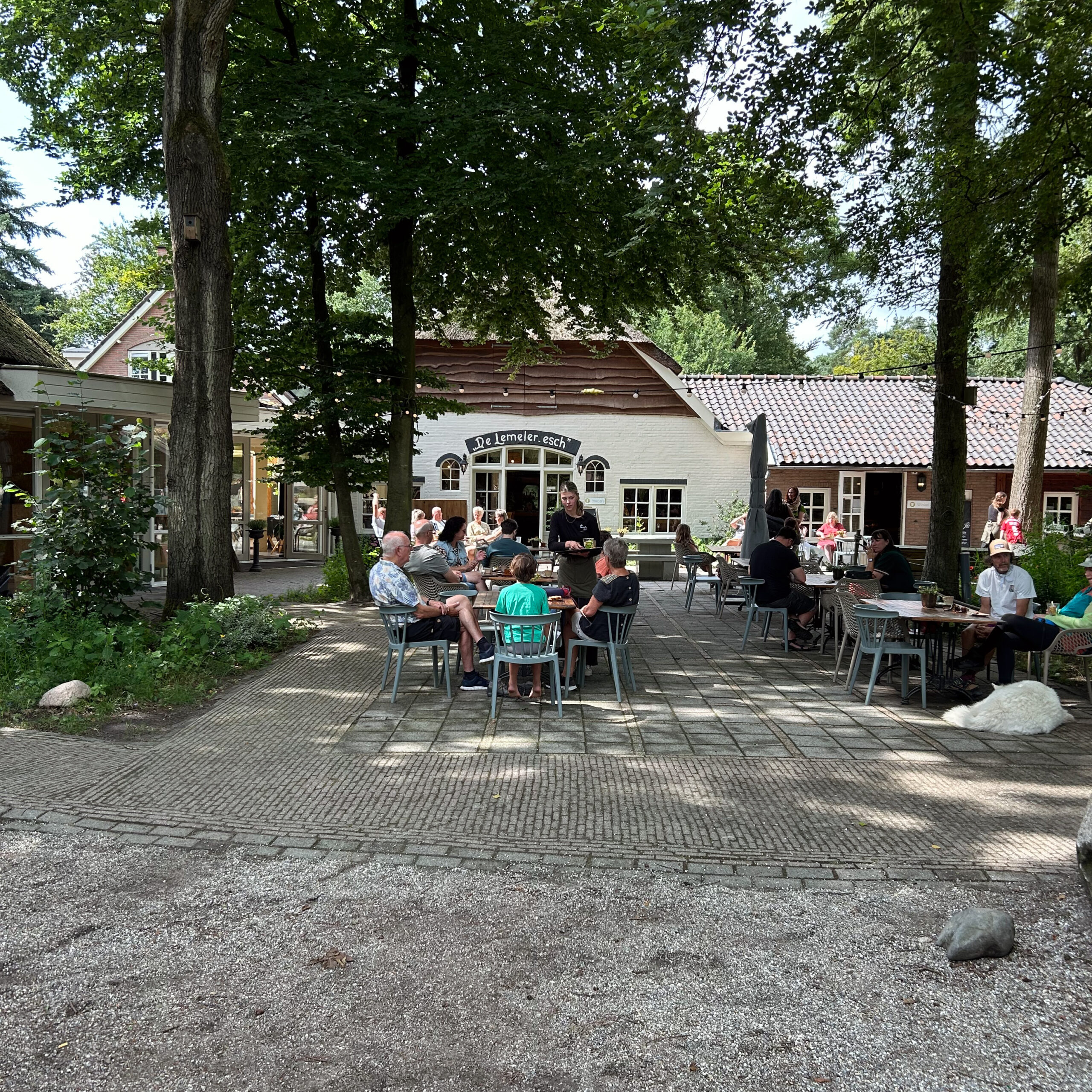 Proef huisgemaakt lekkers bij boscafé Lemeler Esch in Lemele