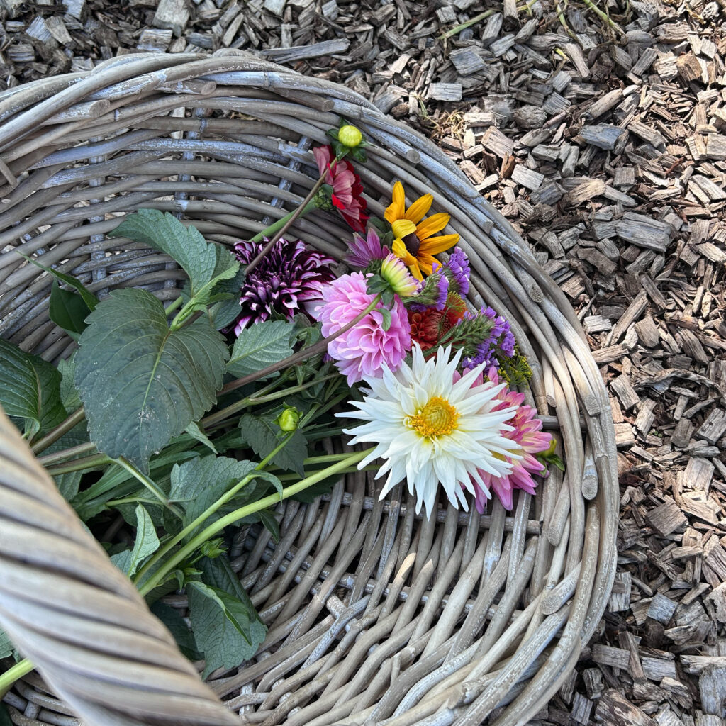 Pluck Elke Dag Witharen bloemenmand